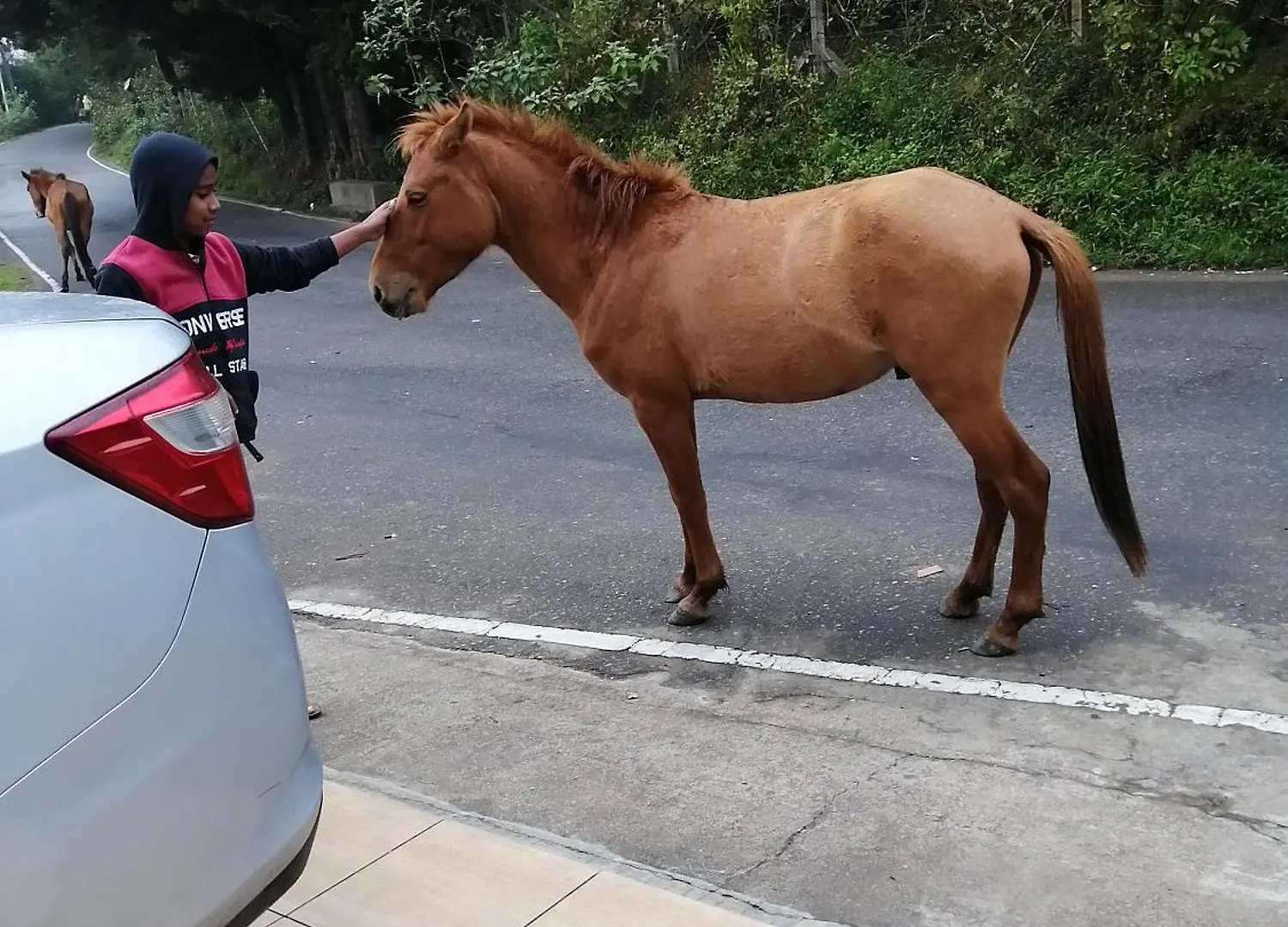 Hotel Roseberry Villa Nuwara Eliya